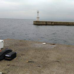 個人的夏タチ、いよいよ開幕できました！