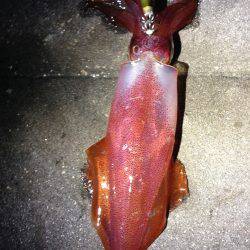 昨日までとは打って変わって