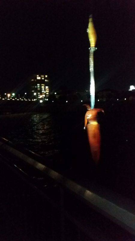 好調のはずのケンサキイカ