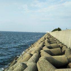 チビ根魚だけ･･･