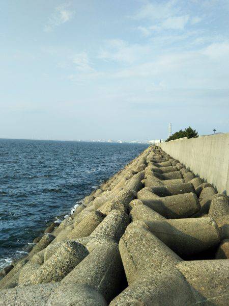 チビ根魚だけ･･･