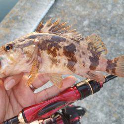 仕事終わりにライトワインド