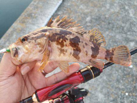 仕事終わりにライトワインド