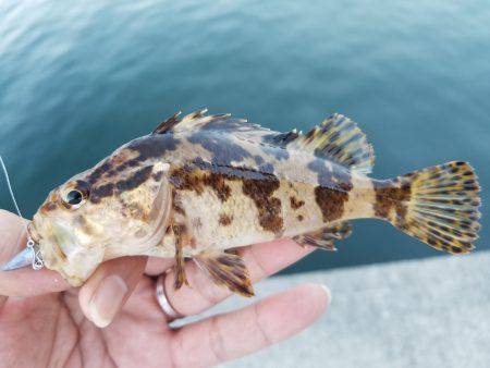 仕事終わりにライトワインド