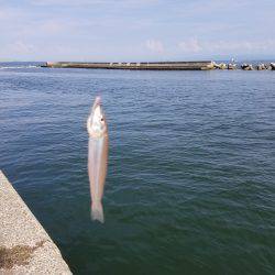 ファミリーフィッシング&キッシングリベンジ