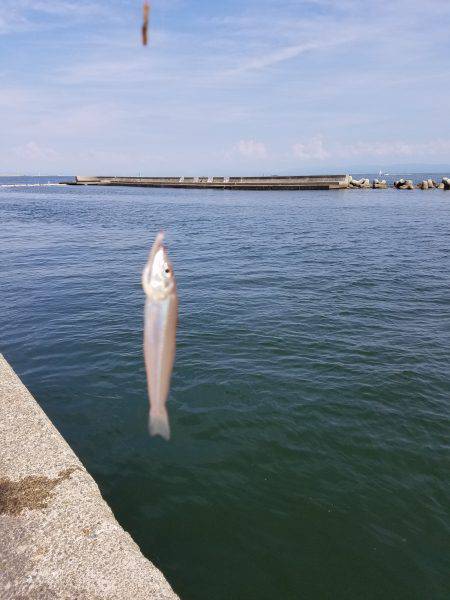 ファミリーフィッシング&キッシングリベンジ