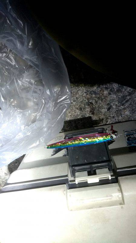 カマス君ケンサキさん