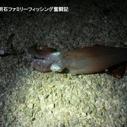 相変わらず渋い