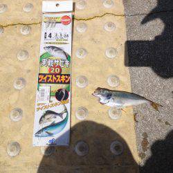 大潮なのに釣果は残念でした。