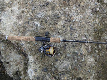 お盆明け何とかキビレ茅渟ゲット出来ました。