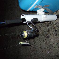 初ワインド初タチウオ＼(^o^)／