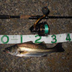 ショートバイトに苦戦…。