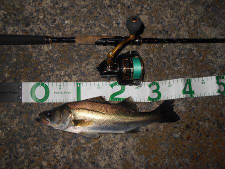 ショートバイトに苦戦…。