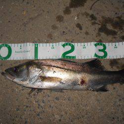 場所が狭かった…。