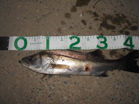 場所が狭かった…。