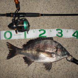 テトラ際でチヌ&シーバス♪。