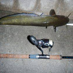 良い引きでした