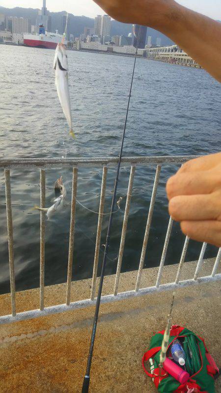 夏タチも帰省中？