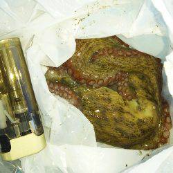 ３日連続の本命