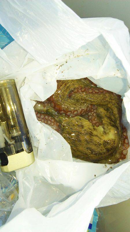 ３日連続の本命