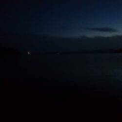 おひさしぶりエギング