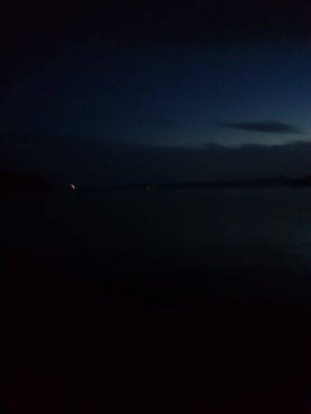 おひさしぶりエギング