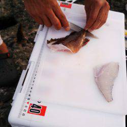 野島沖堤ライトゲーム