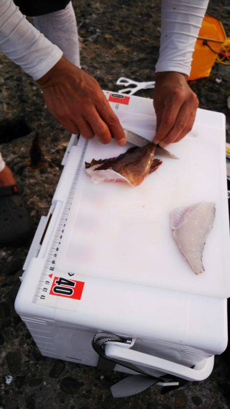 野島沖堤ライトゲーム