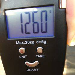 仕事重要出張でエギング