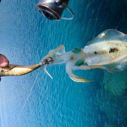 仕事終わりにエギング