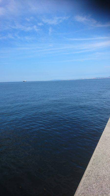 初たこチャレンジ