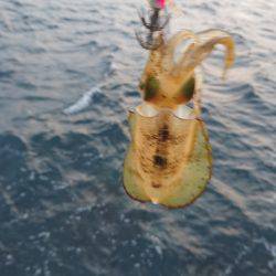 強風の中でショート