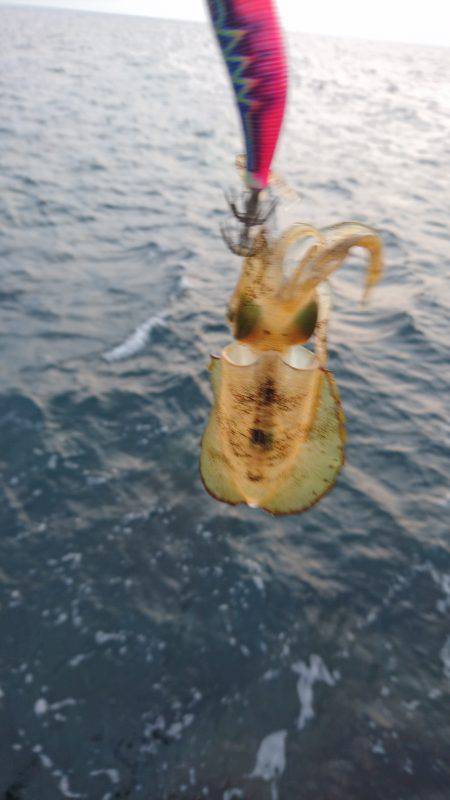 強風の中でショート