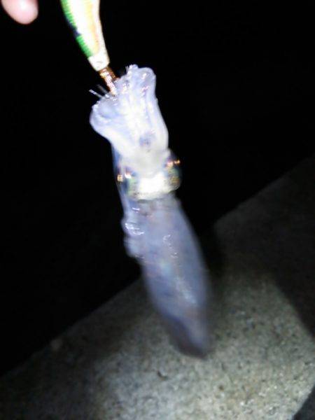 にゅーんとしたりグンっときたり