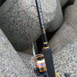 ショアジギング