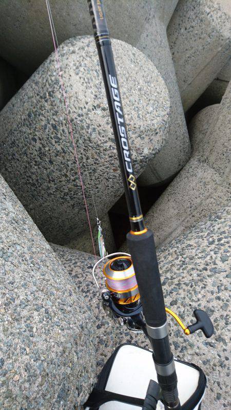 ショアジギング