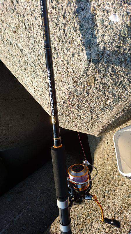 青物を求めて〜!!