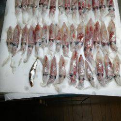 今年も釣れますがな！