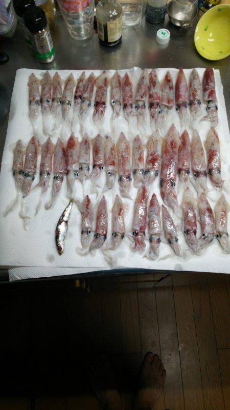 今年も釣れますがな！