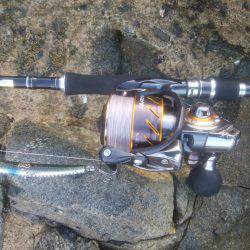 シーバス＆キス釣り