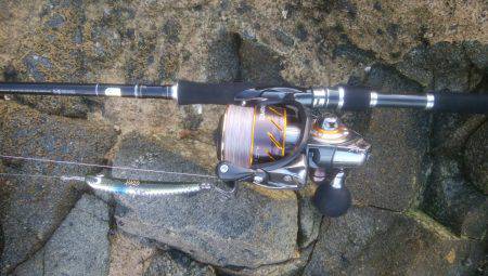 シーバス＆キス釣り