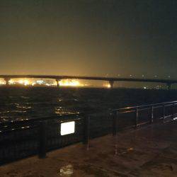 思わぬゲストが…