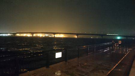 思わぬゲストが…