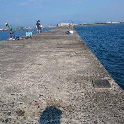 タチウオ青物狙い