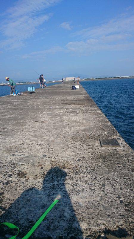 タチウオ青物狙い