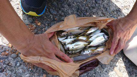 岩屋一文字 ふかせ釣り