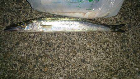 群れがガサガサ