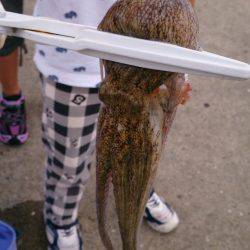 子供とファミリーフィッシング