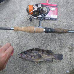 アイナメ遠征１