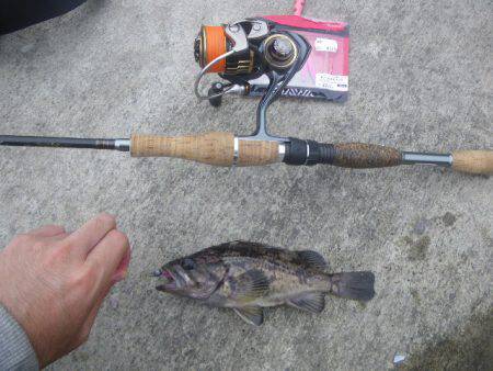 アイナメ遠征１